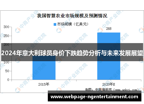 2024年意大利球员身价下跌趋势分析与未来发展展望