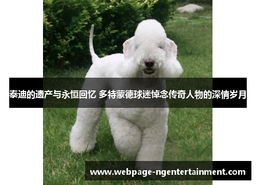 泰迪的遗产与永恒回忆 多特蒙德球迷悼念传奇人物的深情岁月