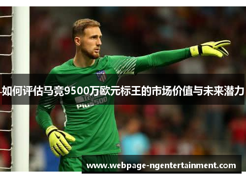 如何评估马竞9500万欧元标王的市场价值与未来潜力
