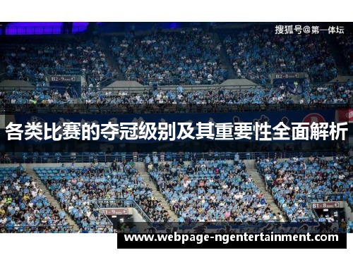 各类比赛的夺冠级别及其重要性全面解析