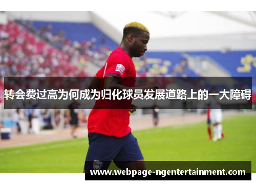 转会费过高为何成为归化球员发展道路上的一大障碍