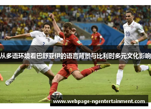 从多语环境看巴舒亚伊的语言背景与比利时多元文化影响 从多语环境看巴舒亚伊的语言背景与比利时多元文化影响